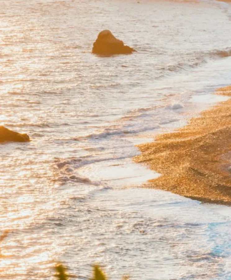 Виза Кипра категории F