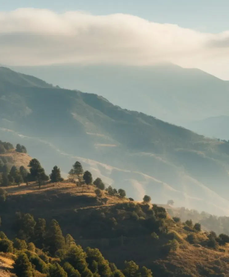 Паспорт Кипра в 2026